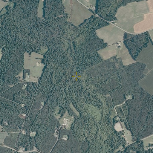 Aerial/Satellite Image of North Fork Blackwater Swamp, VA