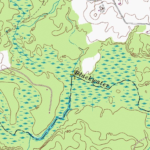 Topographic Map of Otterdam Swamp, VA