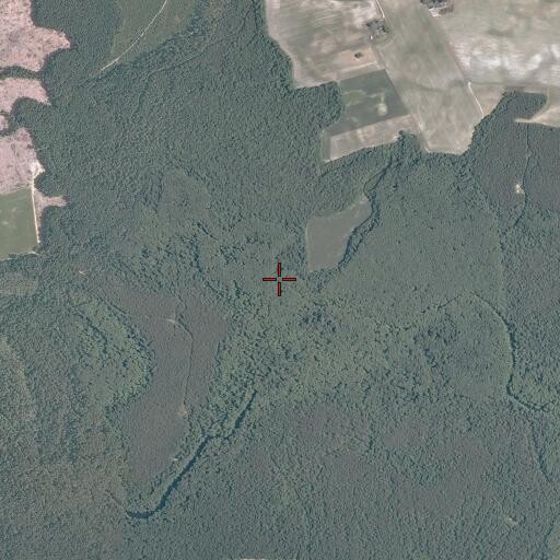 Aerial/Satellite Image of Otterdam Swamp, VA
