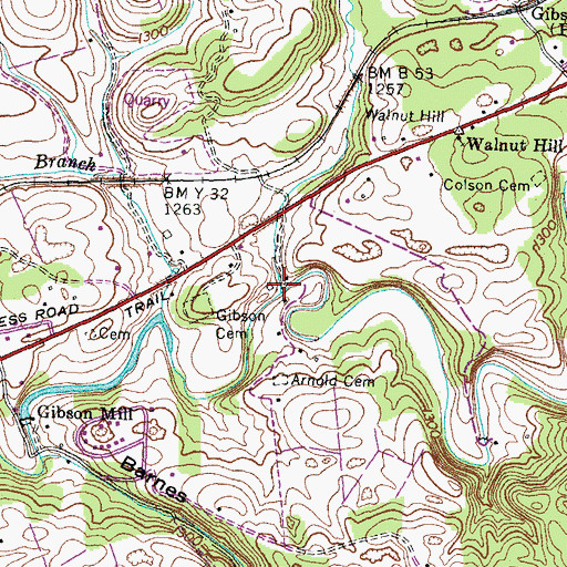 Topographic Map of Pendleton Branch, VA