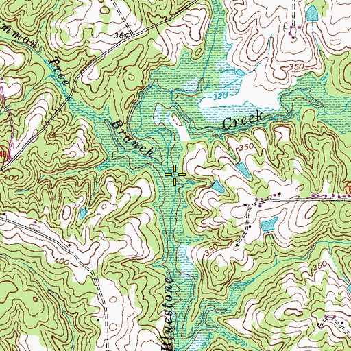 Topographic Map of Persimmon Tree Branch, VA
