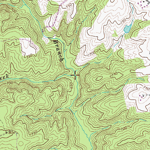 Topographic Map of Phoebe Branch, VA