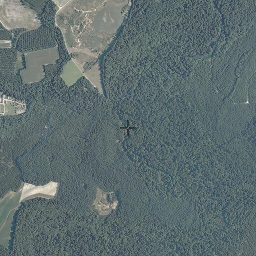 Aerial/Satellite Image of Pig Swamp, VA