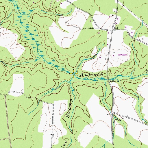 Topographic Map of Pine Swamp, VA