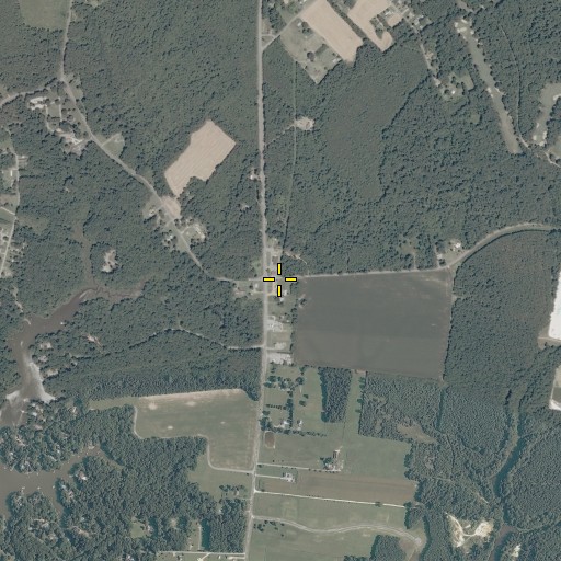 Aerial/Satellite Image of Pitmans Corner, VA