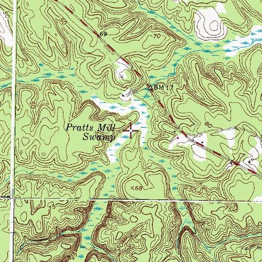 Topographic Map of Pratts Mill Swamp, VA