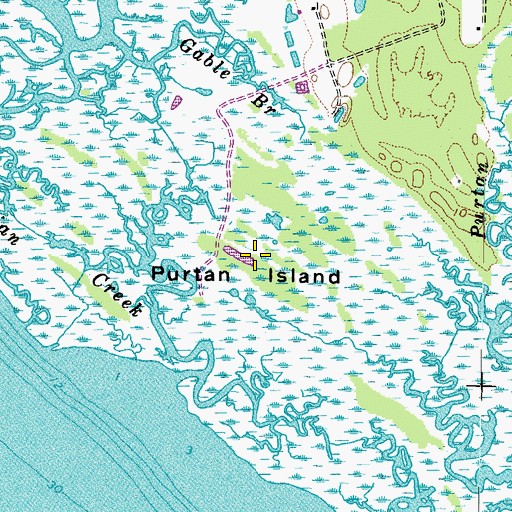 Topographic Map of Purtan Island, VA