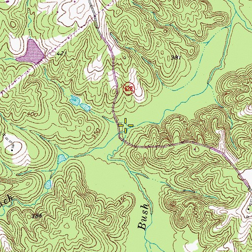 Topographic Map of Redd Branch, VA
