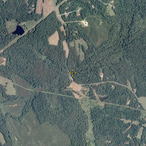 Aerial/Satellite Image of Redd Branch, VA