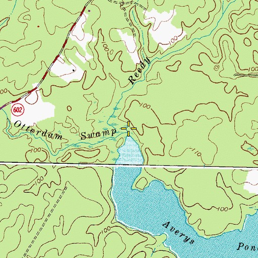 Topographic Map of Reedy Branch, VA