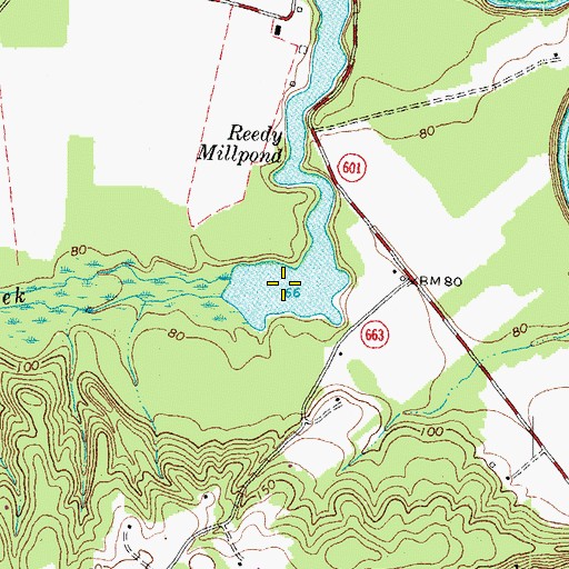 Topographic Map of Reedy Millpond, VA