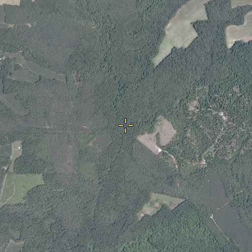 Aerial/Satellite Image of Root Swamp, VA