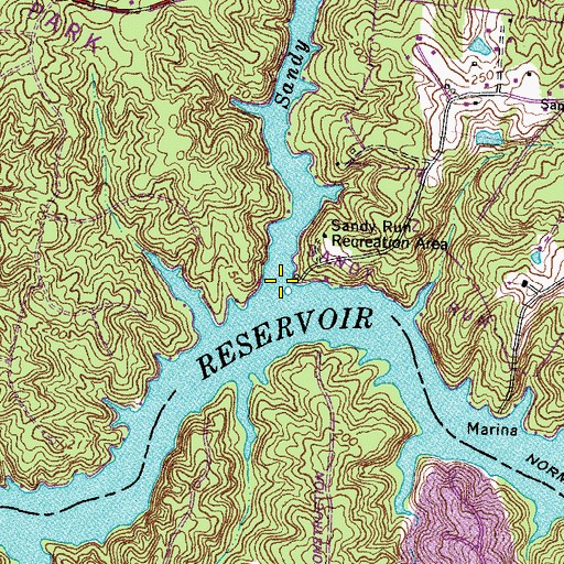 Topographic Map of Sandy Run, VA