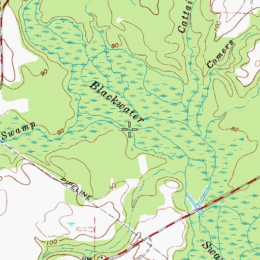 Topographic Map of Second Swamp, VA