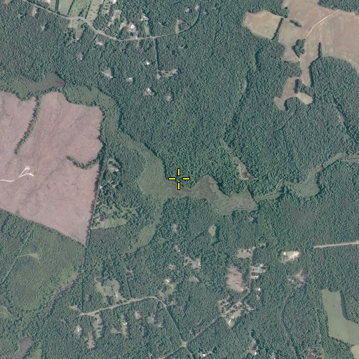 Aerial/Satellite Image of Glebe Run, VA