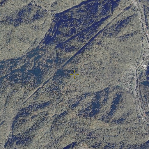 Aerial/Satellite Image of Youngs Ridge, VA