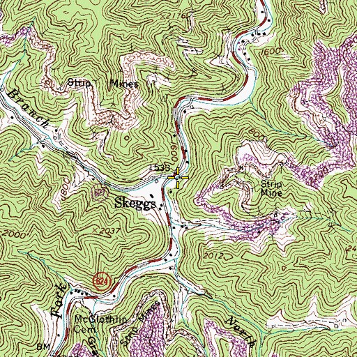 Topographic Map of Skeggs Branch, VA