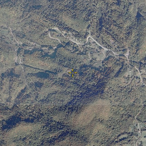 Aerial/Satellite Image of Smith Cemetery, VA