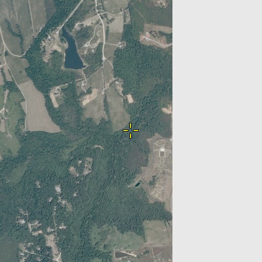 Aerial/Satellite Image of South Branch Nibb Creek, VA