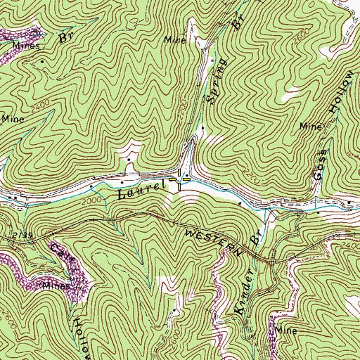 Topographic Map of Spring Branch, VA