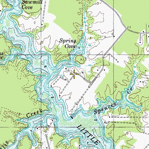 Topographic Map of Spring Cove, VA