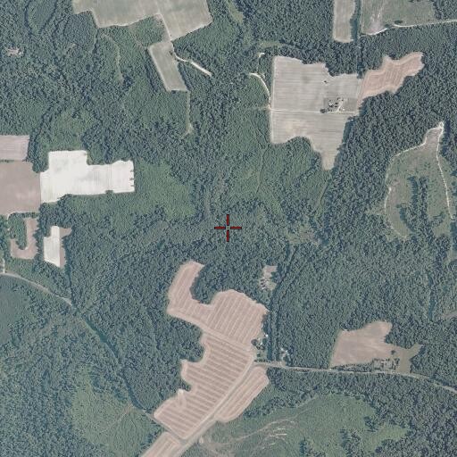 Aerial/Satellite Image of Spring Run, VA