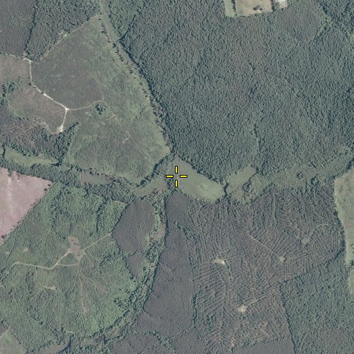 Aerial/Satellite Image of Tanyard Swamp, VA