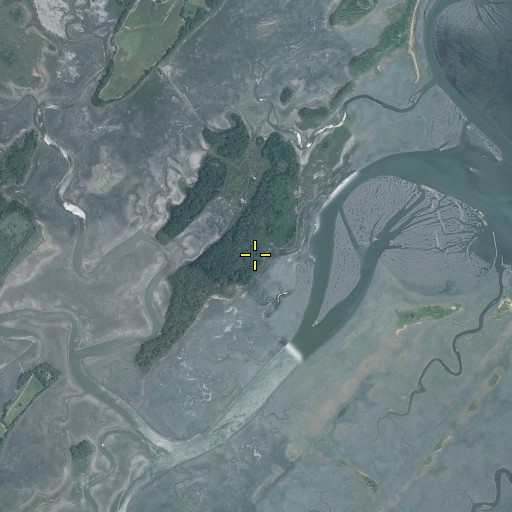 Aerial/Satellite Image of The Hammocks, VA