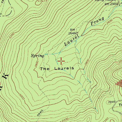 Topographic Map of The Laurels, VA
