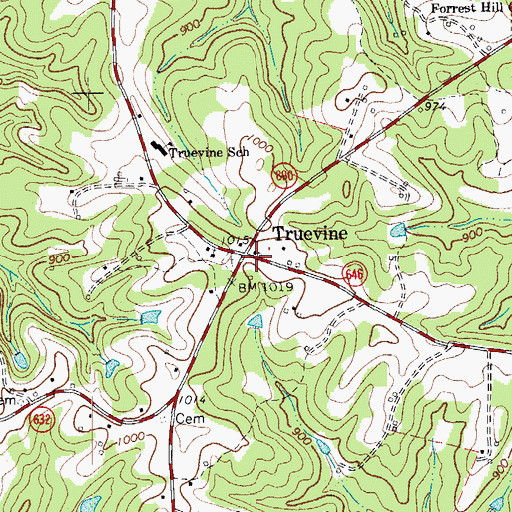 Topographic Map of Truevine, VA