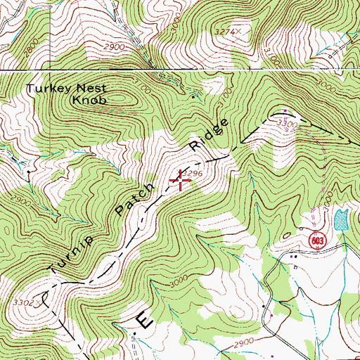 Topographic Map of Turnip Patch Ridge, VA