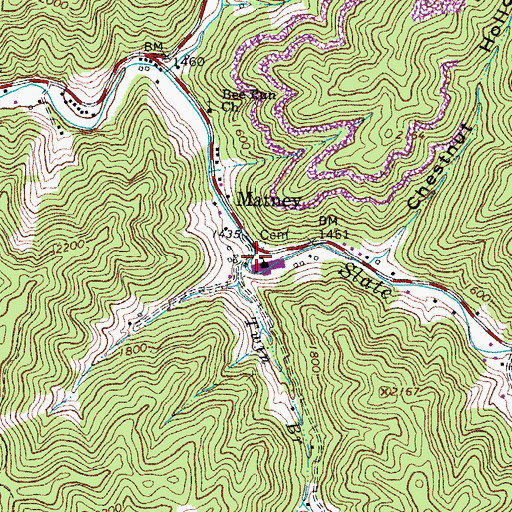 Topographic Map of Twin Branch, VA