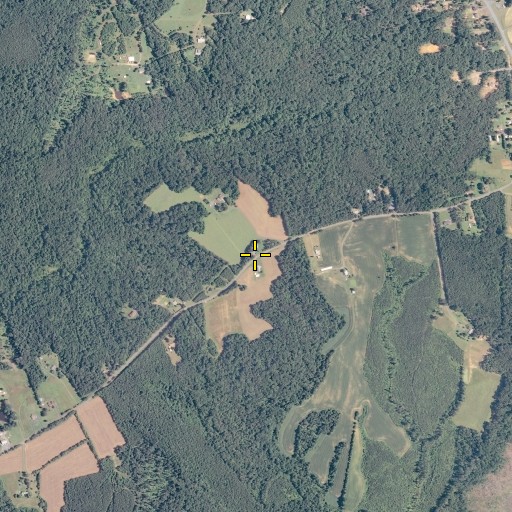 Aerial/Satellite Image of Union Church, VA