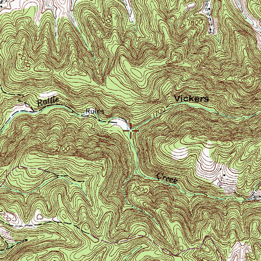 Topographic Map of Vickers Hollow, VA