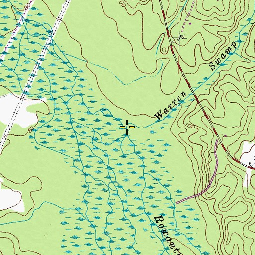 Topographic Map of Warren Swamp, VA