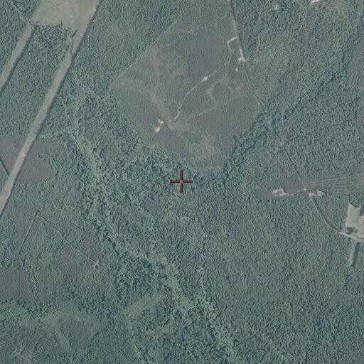 Aerial/Satellite Image of Warren Swamp, VA
