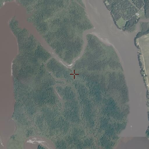 Aerial/Satellite Image of West Island, VA