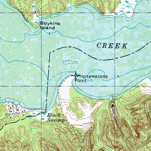 Topographic Map of Whipsawasons Point, VA