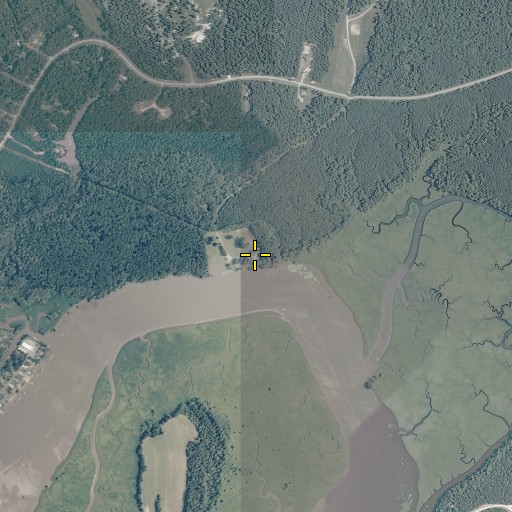 Aerial/Satellite Image of Brickyard Landing, VA