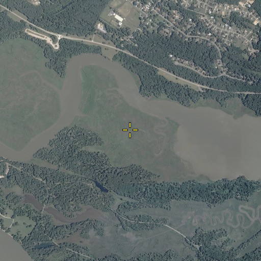 Aerial/Satellite Image of Back River Marsh, VA