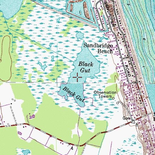 Topographic Map of Black Gut, VA