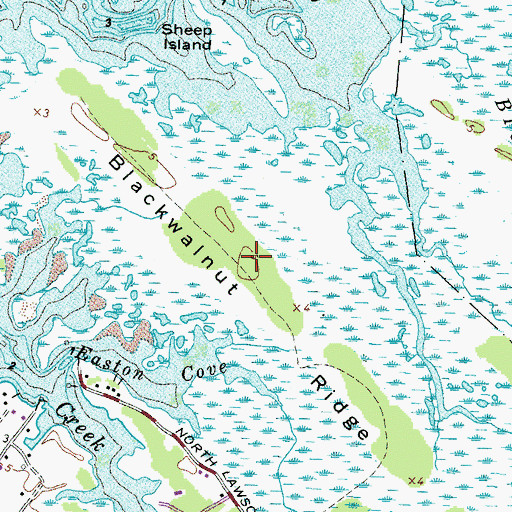 Topographic Map of Blackwalnut Ridge, VA