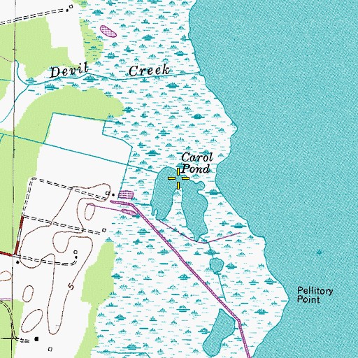 Topographic Map of Carol Pond, VA