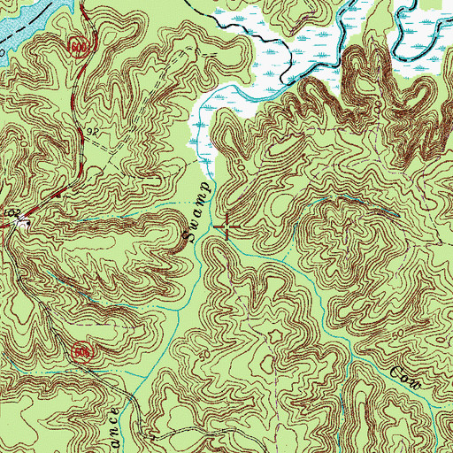 Topographic Map of Cow Swamp, VA