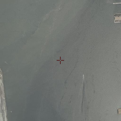 Aerial/Satellite Image of Elizabeth River, VA