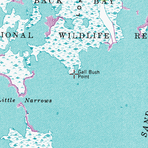 Topographic Map of Gall Bush Point, VA