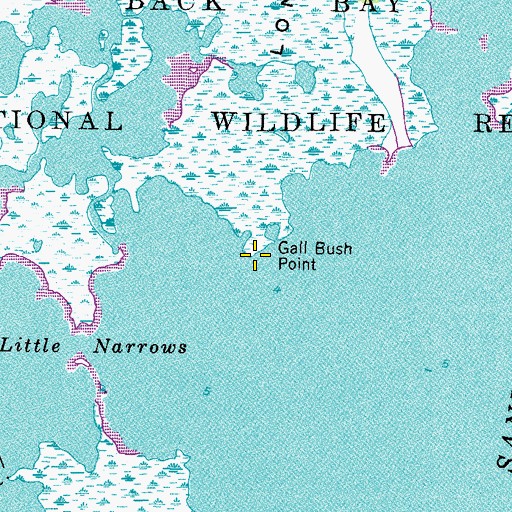 Topographic Map of Gall Bush Point, VA