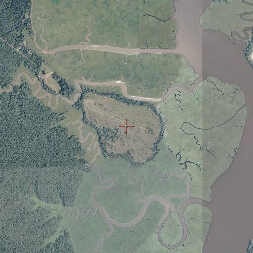 Aerial/Satellite Image of Parsons Island, VA