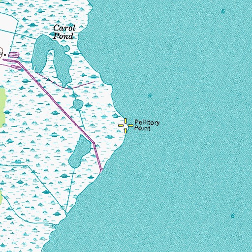Topographic Map of Pellitory Point, VA