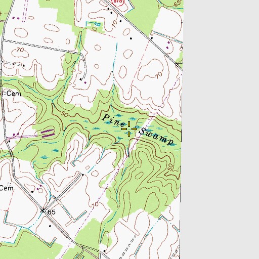 Topographic Map of Pine Swamp, VA